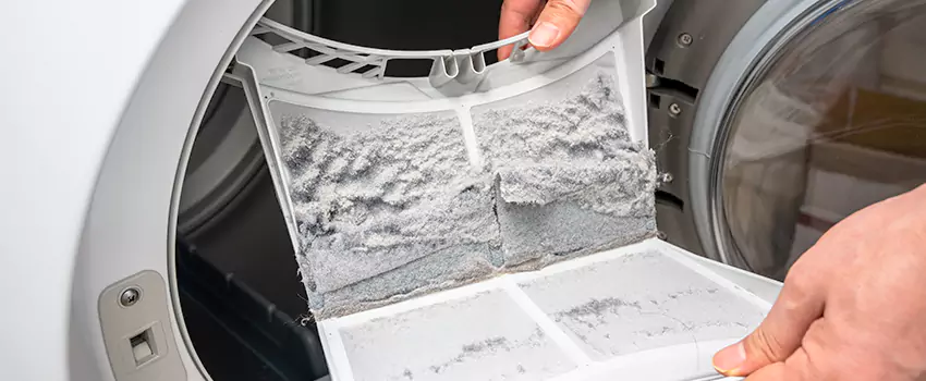 Best Dryer Lint Removal Company in Golden Valley, Minnesota