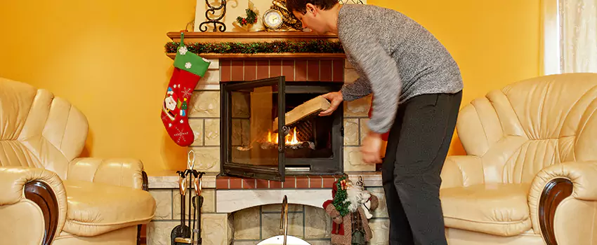 Gas to Wood-Burning Fireplace Conversion Services in Golden Valley, Minnesota