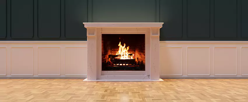 Napoleon Electric Fireplaces Inspection Service in Golden Valley, Minnesota