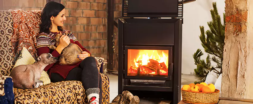 Wood Stove Chimney Cleaning Services in Golden Valley, MN