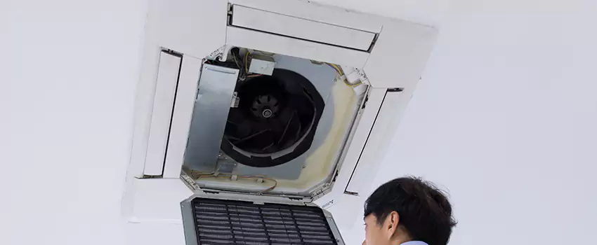 Benefits of Professional Air Duct Cleaning in Golden Valley, Minnesota