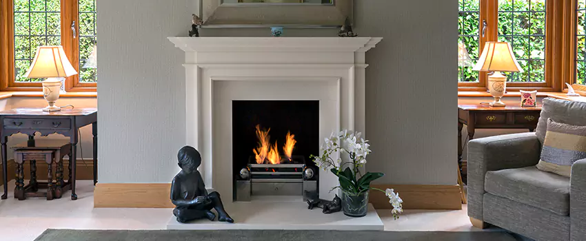 Astria Open-Hearth Wood Fireplaces Services in Golden Valley, MN