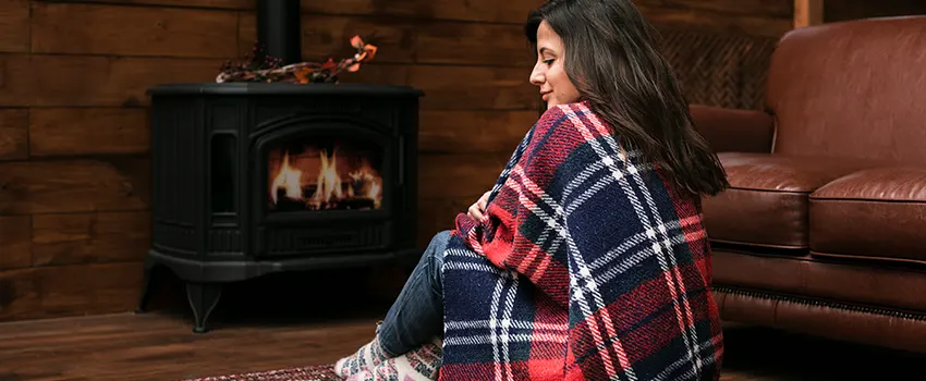 Fireplace Firebox Grate Replacement Services  in Golden Valley, Minnesota