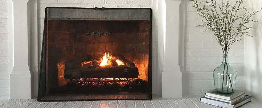 Cost-Effective Fireplace Mantel Inspection And Maintenance in Golden Valley, MN