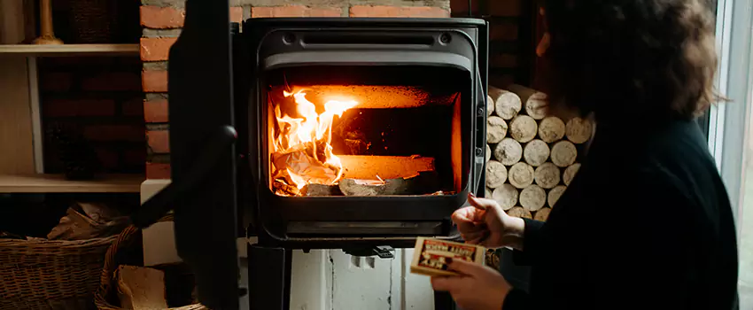 Hearthstone Wood Stoves Fireplace Repair in Golden Valley, Minnesota